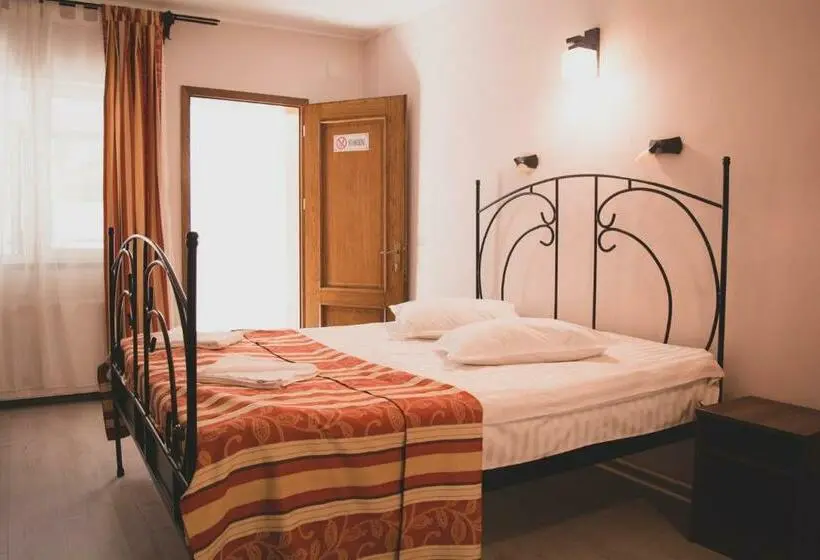 Standard-huone, Pensiunea Castel
