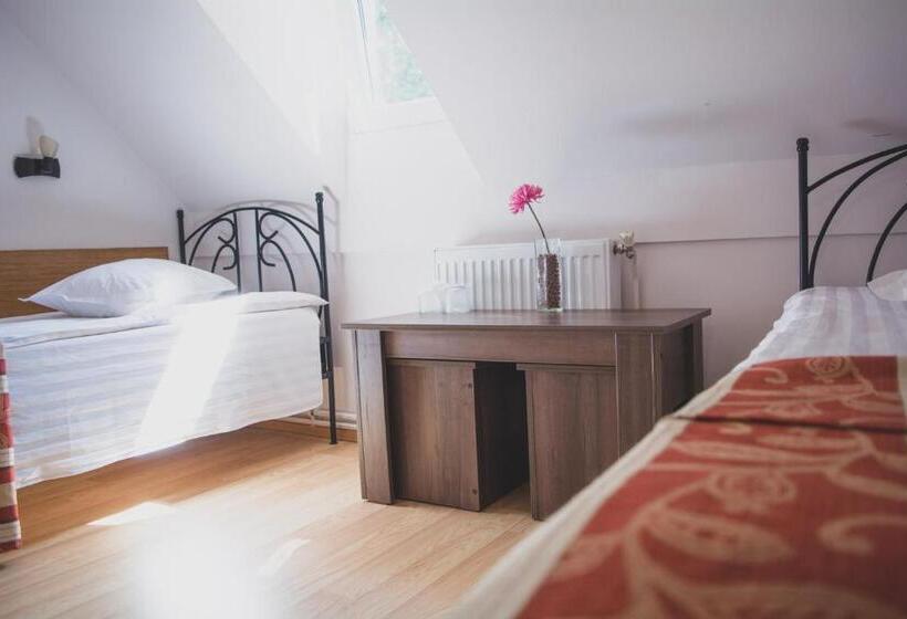 חדר סטנדרט, Pensiunea Castel