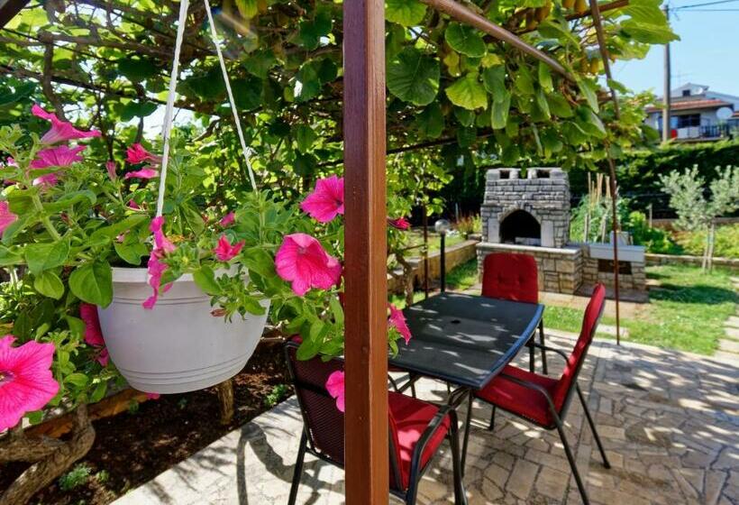 חדר סטודיו סטנדרד, Apartments Marta