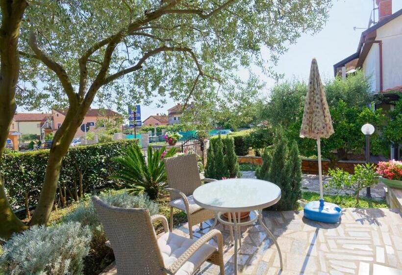 חדר סטודיו סטנדרד, Apartments Marta