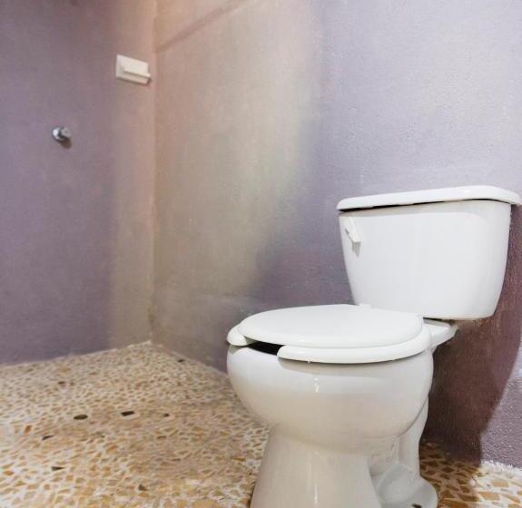 اتاق استاندارد, Capital O Verdemar