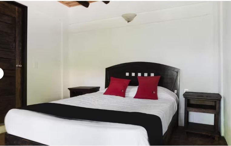 اتاق استاندارد, Capital O Verdemar