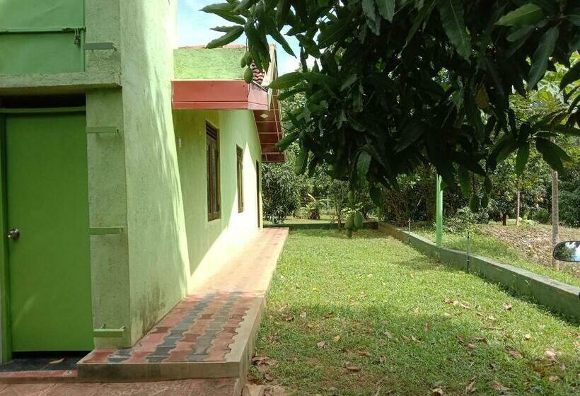 חדר אקונומי, Nebula Farm House