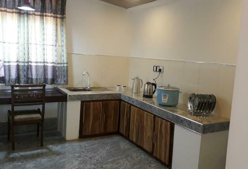 חדר אקונומי, Nebula Farm House