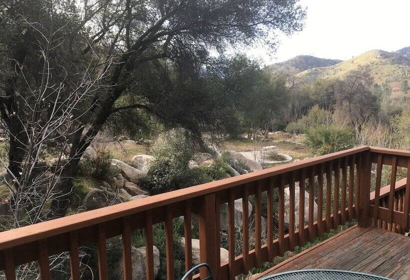 스탠다드 싱글 룸 킹 침대, Whispering Pines Lodge