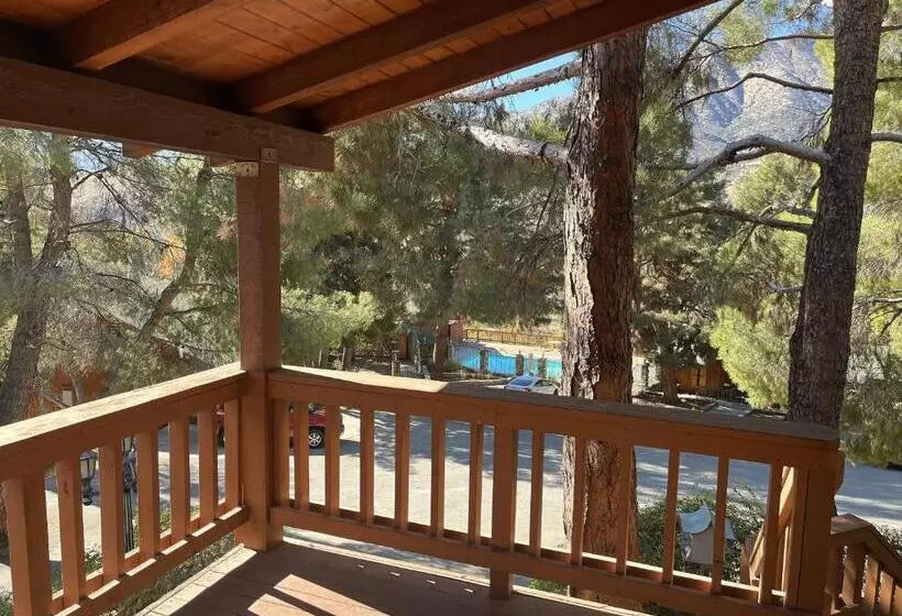 استودیو استاندارد با تخت کینگ, Whispering Pines Lodge