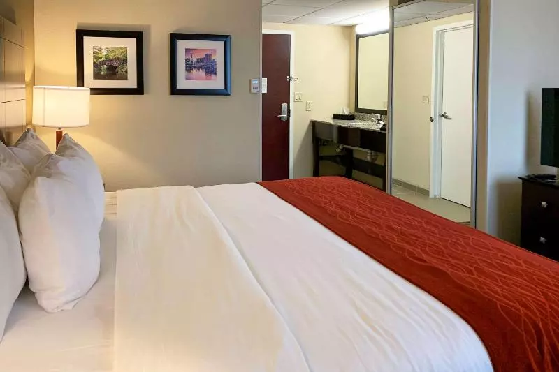 キングサイズベッドのスイートルーム, Comfort Inn & Suites East Hartford  Hartford