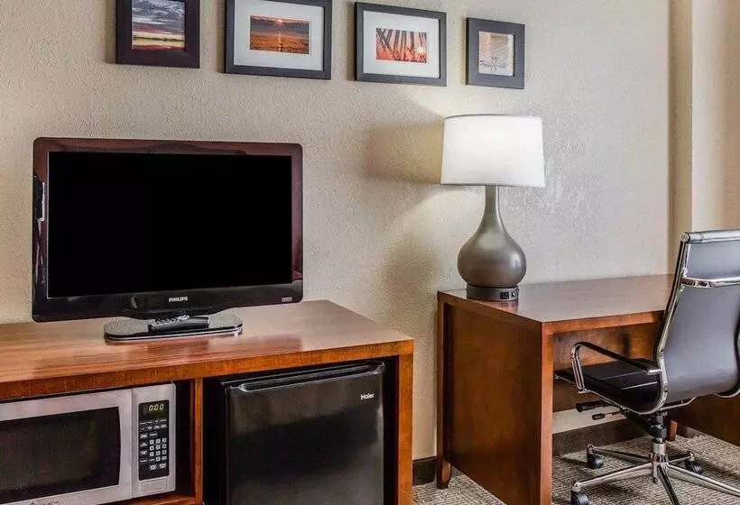 اتاق استاندارد با 2 تخت دوبل, Comfort Inn & Suites Lakeland North I4