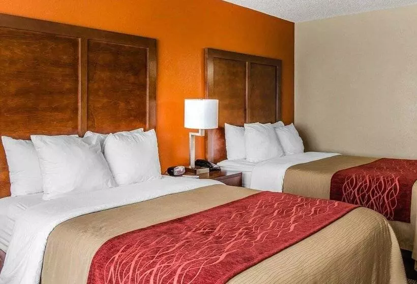 اتاق استاندارد با 2 تخت دوبل, Comfort Inn & Suites Lakeland North I4