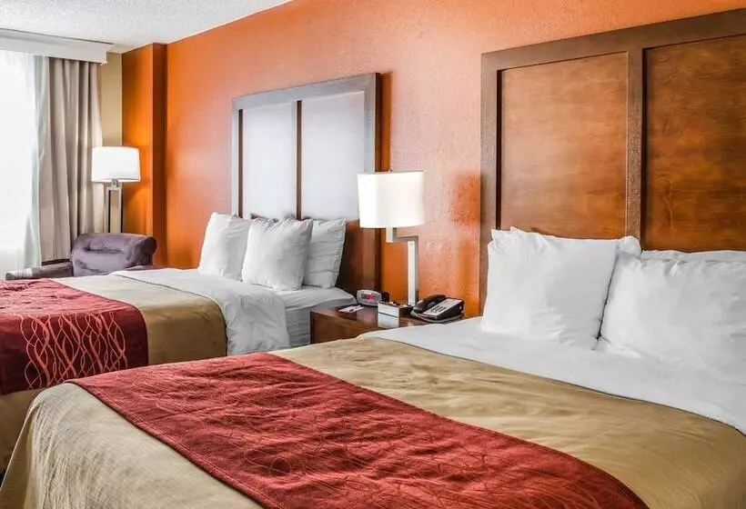 اتاق استاندارد با 2 تخت دوبل, Comfort Inn & Suites Lakeland North I4