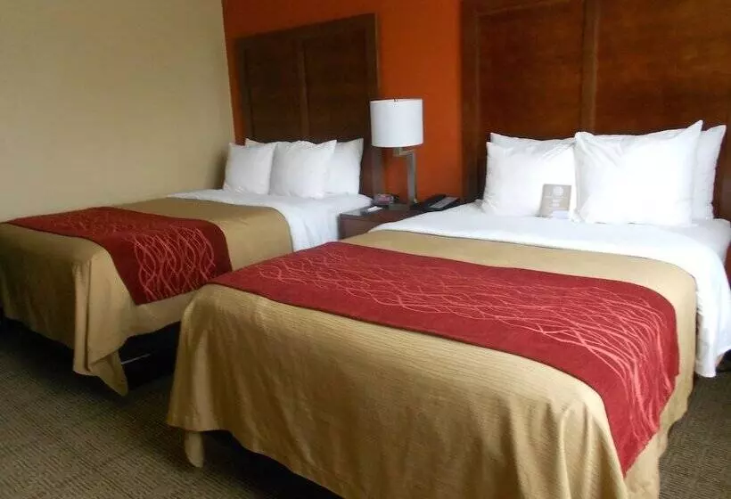 اتاق استاندارد با 2 تخت دوبل, Comfort Inn & Suites Lakeland North I4