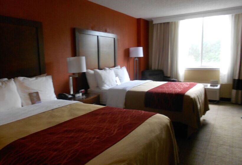 غرفه قياسيه سريرين مزدوجين, Comfort Inn & Suites Lakeland North I4