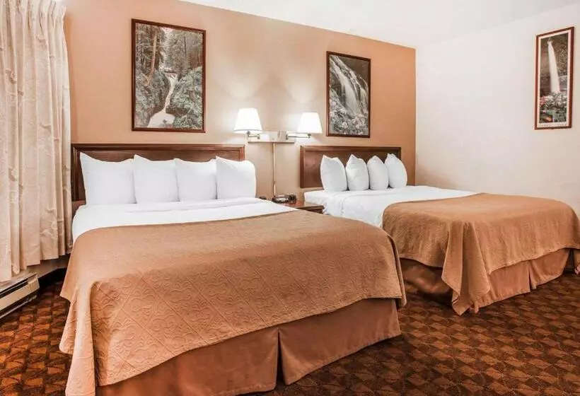 اتاق استاندارد, Quality Inn Port Angeles Near Olympic National Park