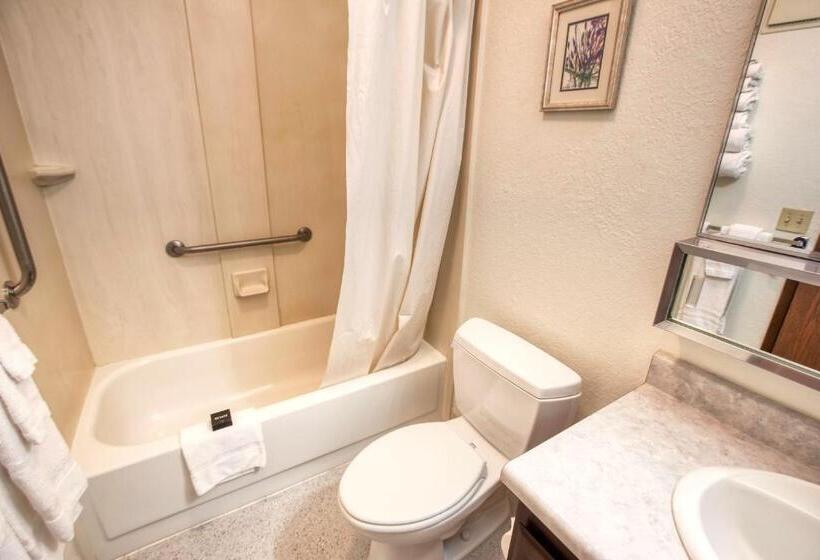 סוויטת דלוקס 2 חדרים, Wedgewood Resort