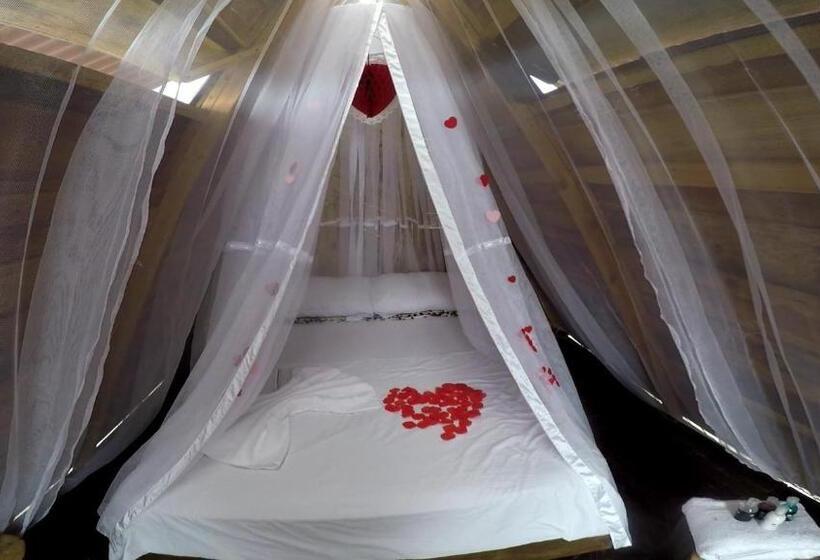 غرفة قياسية, Mana Star Lounge