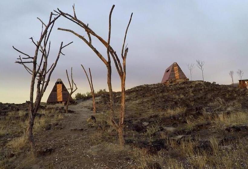 غرفة قياسية, Mana Star Lounge