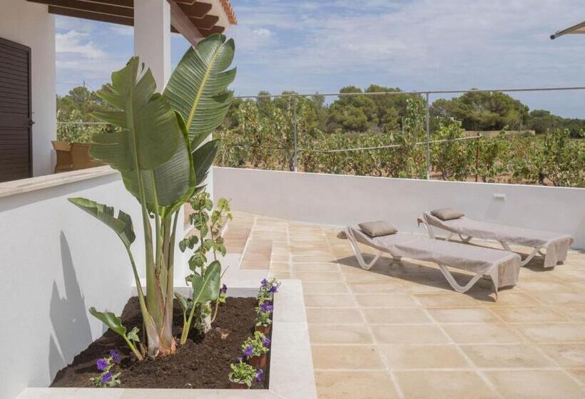 标准工作室, Stella Maris Formentera Break