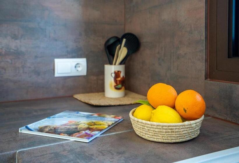 标准工作室, Stella Maris Formentera Break