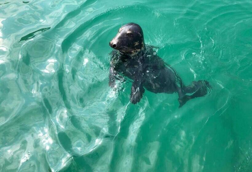 ２ベッドルームハウス, Cottage Barn, Jacobstow