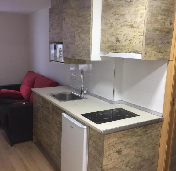 آپارتمان 1 خوابه, Apartahotel Canfranc