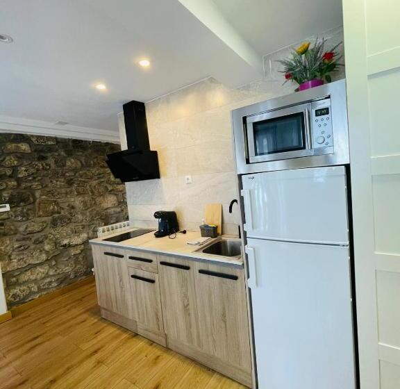 آپارتمان 1 خوابه, Apartahotel Canfranc