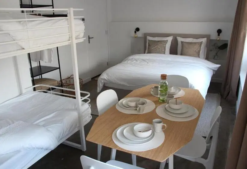 استودیو خانوادگی, Paradis Zandvoort