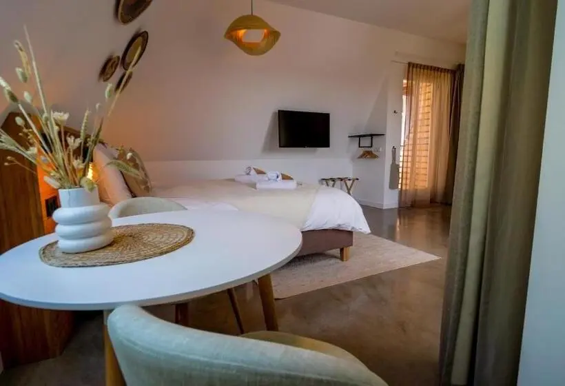 استودیو استاندارد با بالکن, Paradis Zandvoort