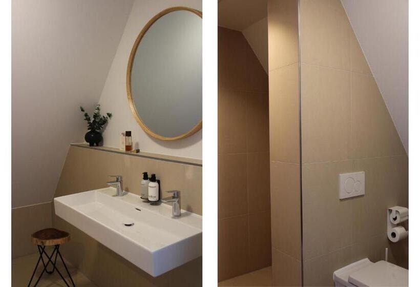 إستديو قياسى مزود بشرفة, Paradis Zandvoort