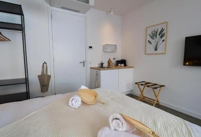 استودیوی استاندارد, Paradis Zandvoort