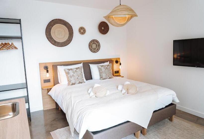 إستوديو قياسى, Paradis Zandvoort