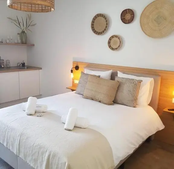 استودیوی استاندارد, Paradis Zandvoort
