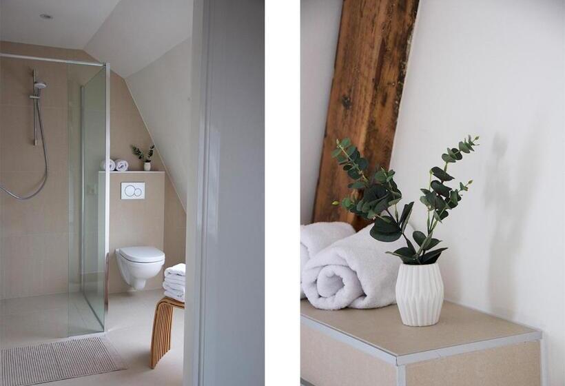 إستوديو قياسى, Paradis Zandvoort