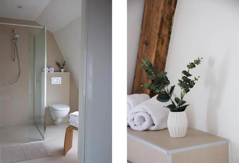 استودیوی استاندارد, Paradis Zandvoort