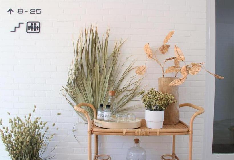 غرفة أساسية, Paradis Zandvoort