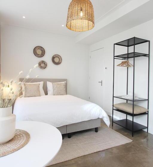 إستوديو قياسى مزودة بتراس, Paradis Zandvoort