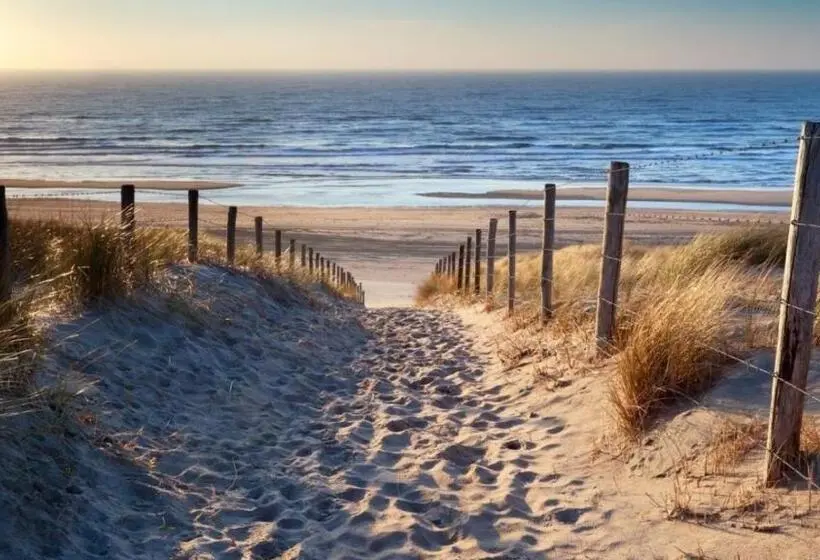 اتاق استاندارد با تراس, Paradis Zandvoort
