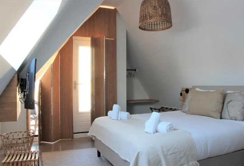 استودیو استاندارد با بالکن, Paradis Zandvoort
