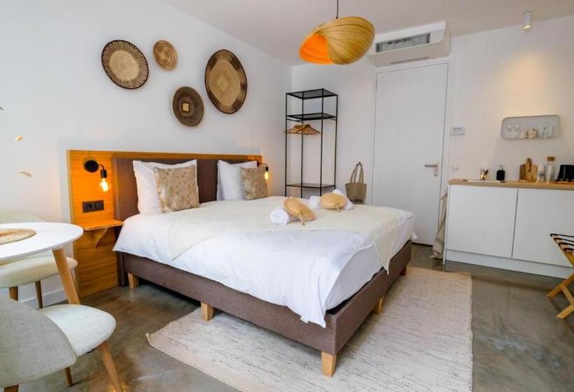 إستوديو قياسى, Paradis Zandvoort