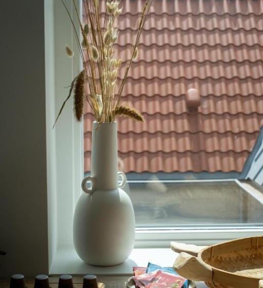 شقة غرفة واحدة, Paradis Zandvoort