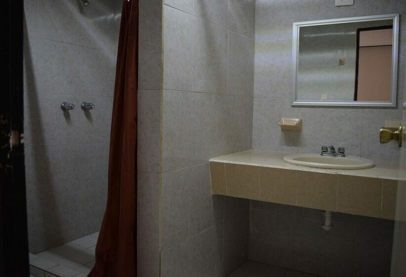 스탠다드 룸, Virrey