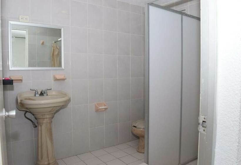 스탠다드 룸, Virrey