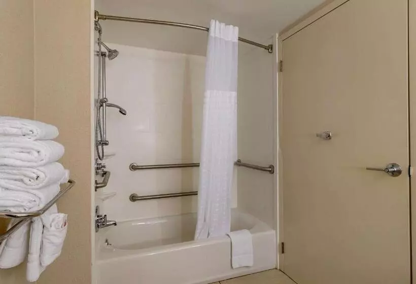 身障者適用スタンダードルーム, Comfort Suites Alpharetta Roswell   Atlanta Area