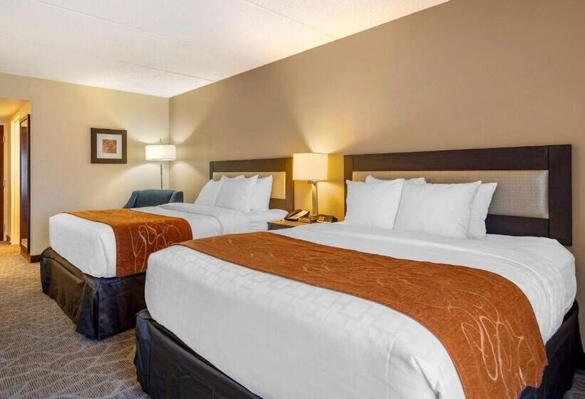 身障者適用スタンダードルーム, Comfort Suites Alpharetta Roswell   Atlanta Area