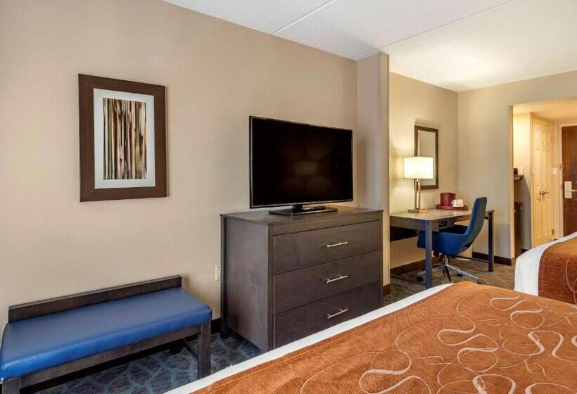Quarto Estandar para Deficientes Físicos, Comfort Suites Alpharetta Roswell   Atlanta Area
