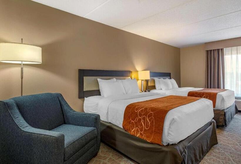 身障者適用スタンダードルーム, Comfort Suites Alpharetta Roswell   Atlanta Area