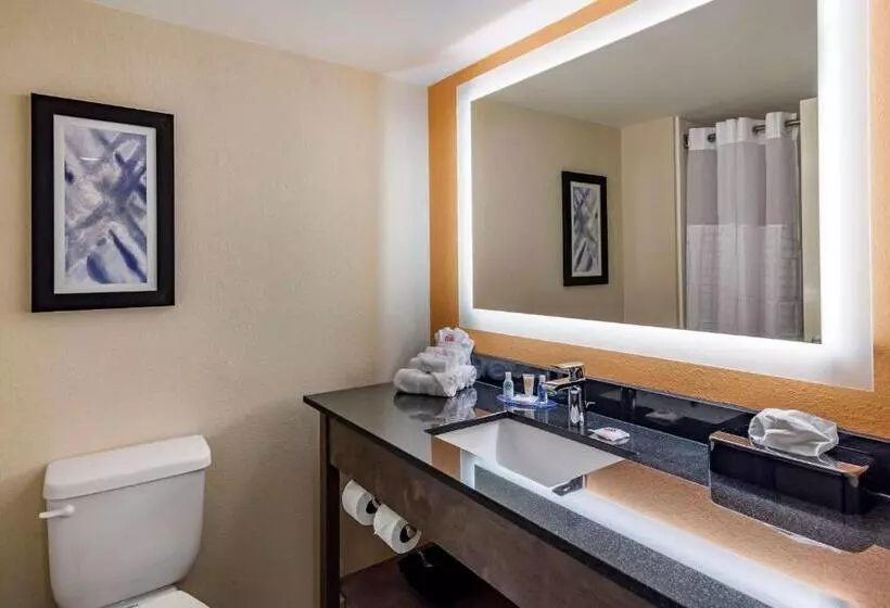 スタンダードルーム, Comfort Suites Alpharetta Roswell   Atlanta Area