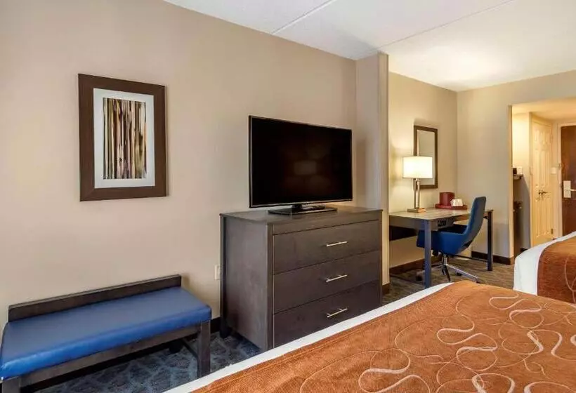スタンダードルーム, Comfort Suites Alpharetta Roswell   Atlanta Area