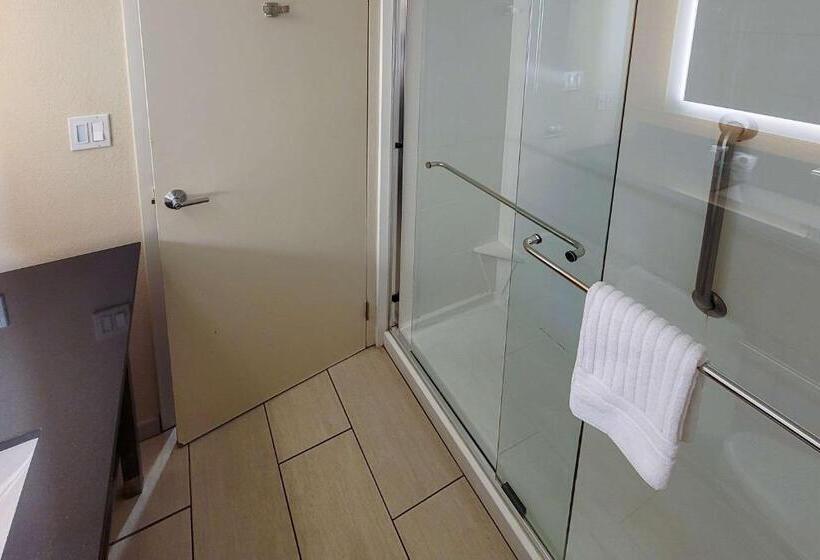 身障者適用キングサイズベッドルーム, Comfort Suites Alpharetta Roswell   Atlanta Area