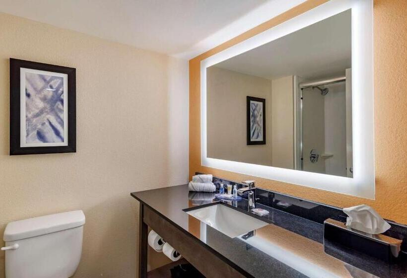 身障者適用キングサイズベッドルーム, Comfort Suites Alpharetta Roswell   Atlanta Area