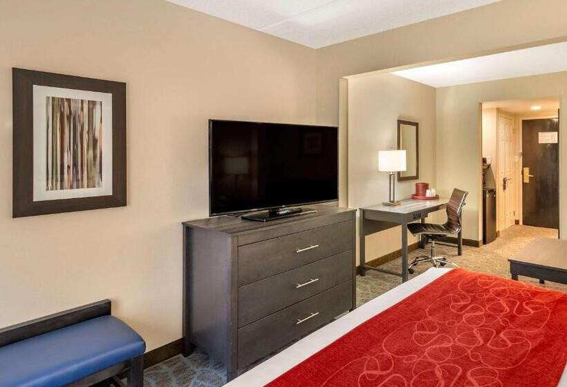 Quarto Estandar Cama King para Deficientes Físicos, Comfort Suites Alpharetta Roswell   Atlanta Area